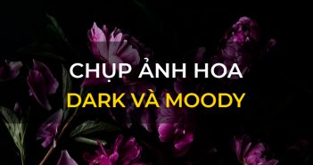 Chụp ảnh hoa theo phong cách Dark và Moody