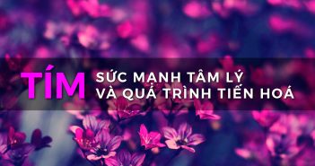 Làm chủ màu sắc – Sức mạnh tâm lý và quá trình tiến hoá của màu tím