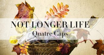 Not Longer Life – Khi plastic là vấn đề từ hàng trăm năm trước