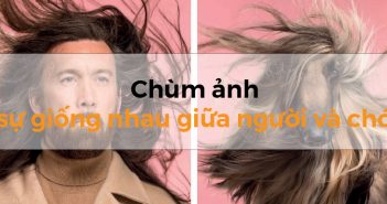 Chùm ảnh “sự giống nhau giữa người và chó”