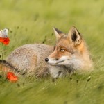 @Jeannette-Oerlemans