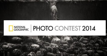 Công bố người thắng giải cuộc thi ảnh 2014 của National Geographic