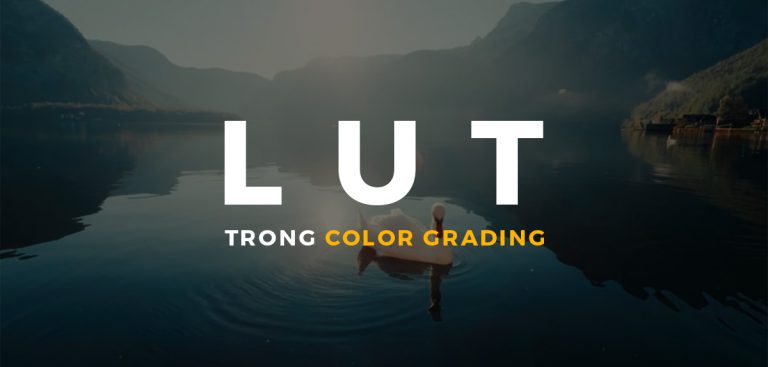 LUT là gì và ứng dụng trong Color Grading