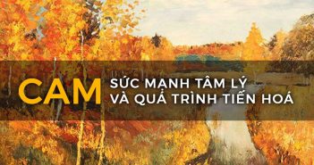 Làm chủ màu sắc – Sức mạnh tâm lý và quá trình tiến hoá của màu cam