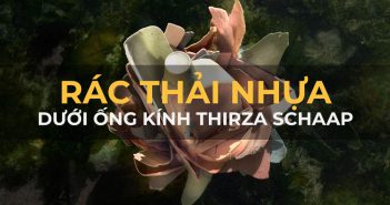 Câu chuyện về rác thải nhựa dưới ống kính của Thirza Schaap