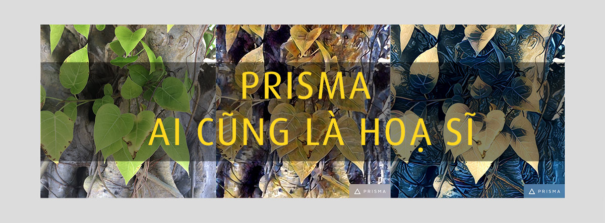 Prisma - App Chụp Ảnh Hô Biến Những Tấm Ảnh Bình Thường Thành Tác Phẩm Nghệ  Thuật - Thư Viện Chụp Ảnh Sản Phẩm, Quảng Cáo Chimkudo