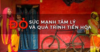 Làm chủ màu sắc – Sức mạnh tâm lý và quá trình tiến hoá của màu đỏ