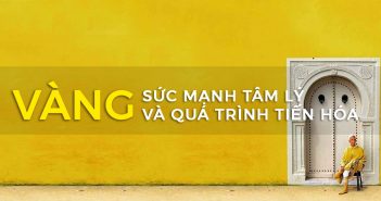 Làm chủ màu sắc – Sức mạnh tâm lý và tiến hoá của màu vàng.